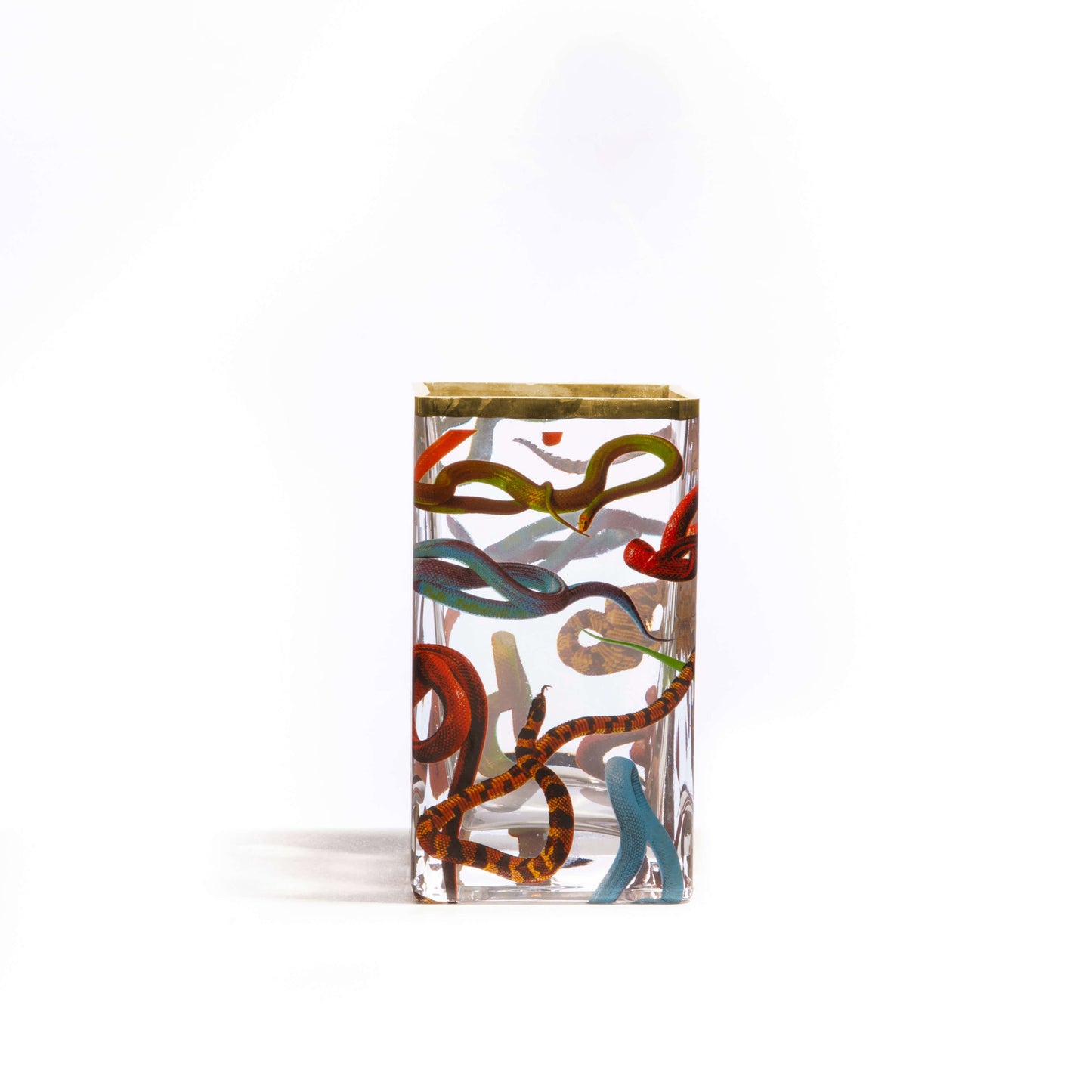 Vaso in Vetro Snakes