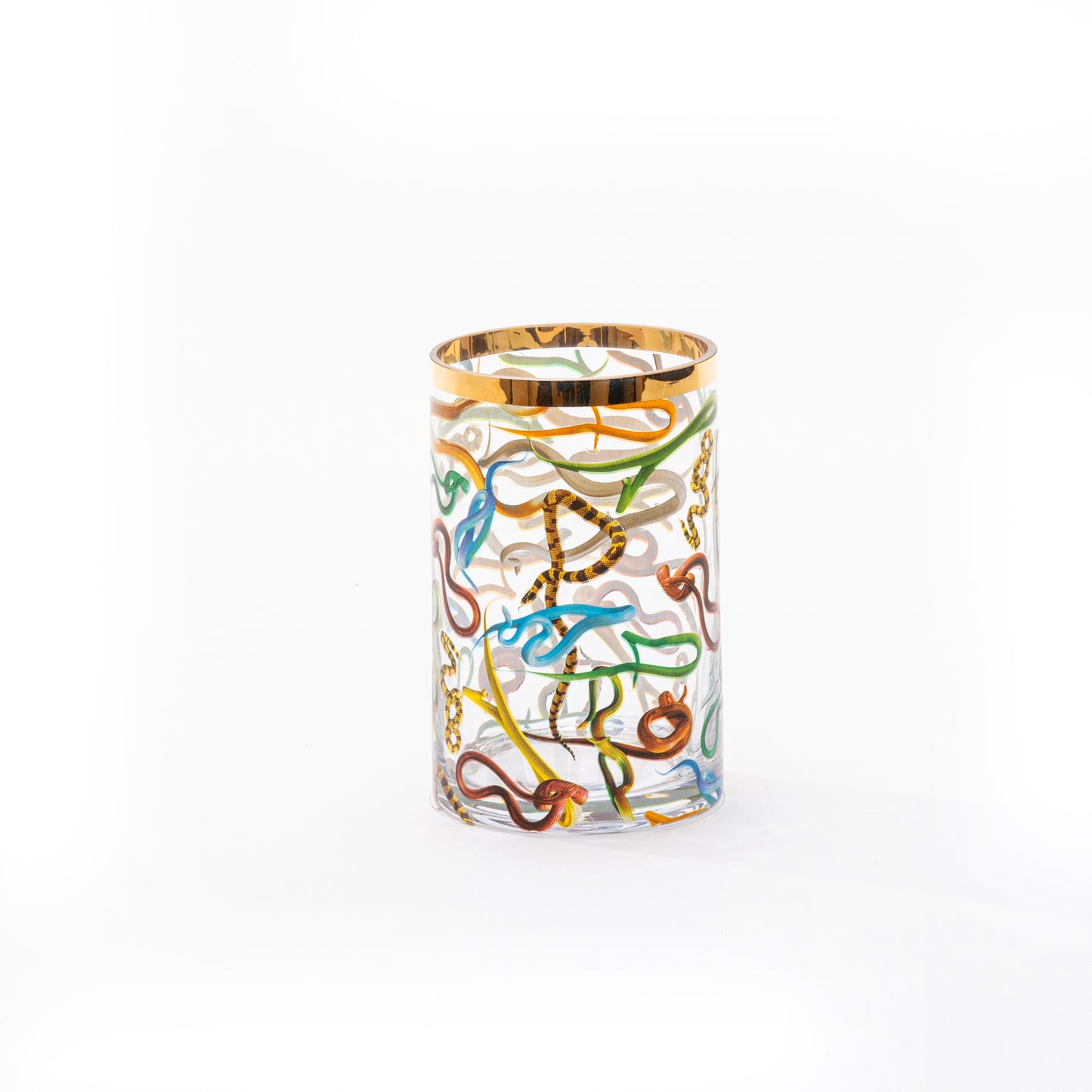 Vaso Cilindrico in Vetro Piccolo Snakes