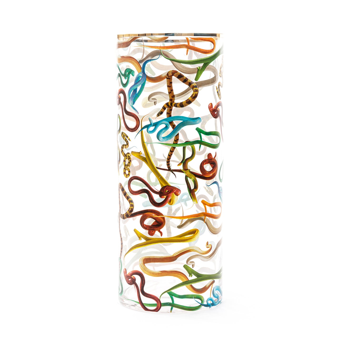 Vaso Cilindrico in Vetro Grande Snakes