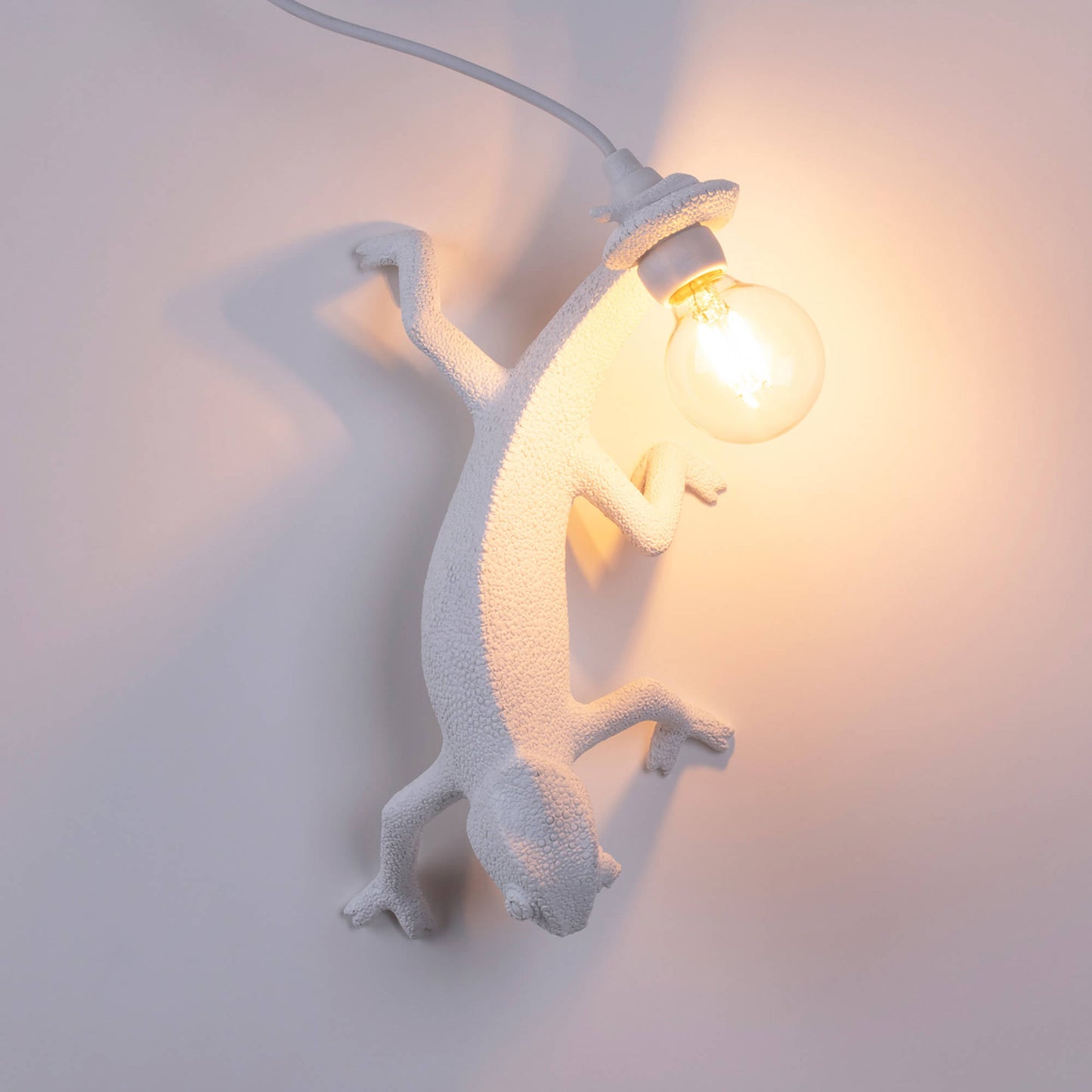 Lampada Chameleon che si spegne USB