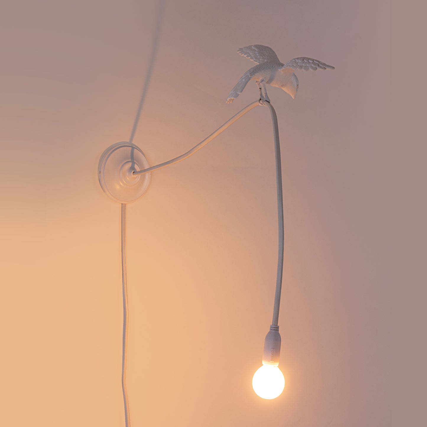 Lampada da parete Sparrow Lamp - Cruising