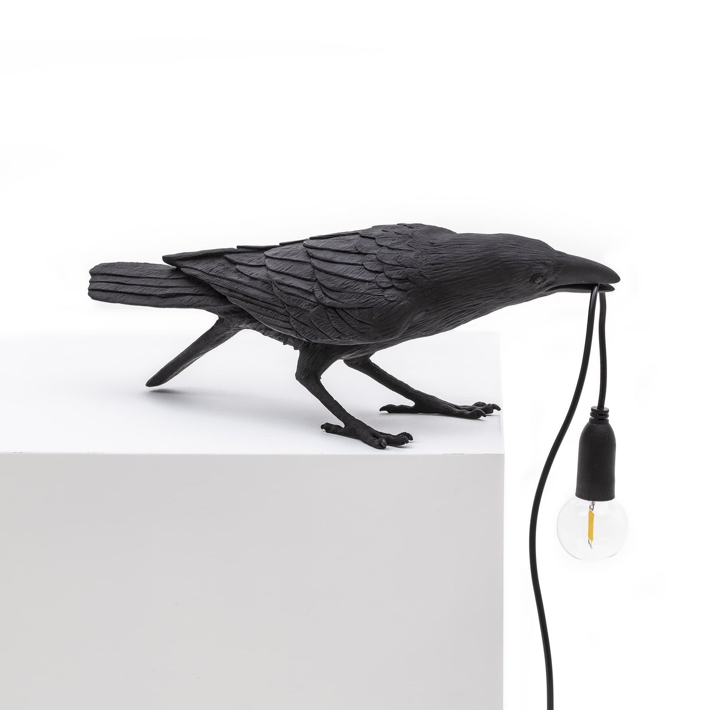 Bird Lamp Nero Playing