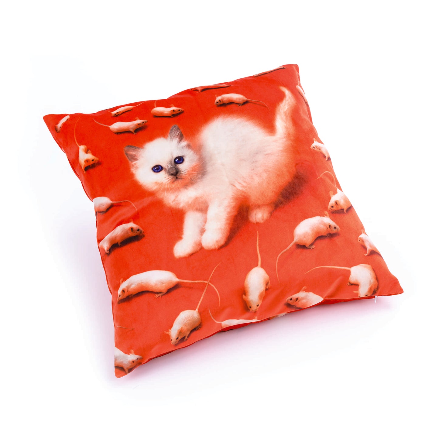 Cuscino Kitten Con Imbottitura In Poliestere