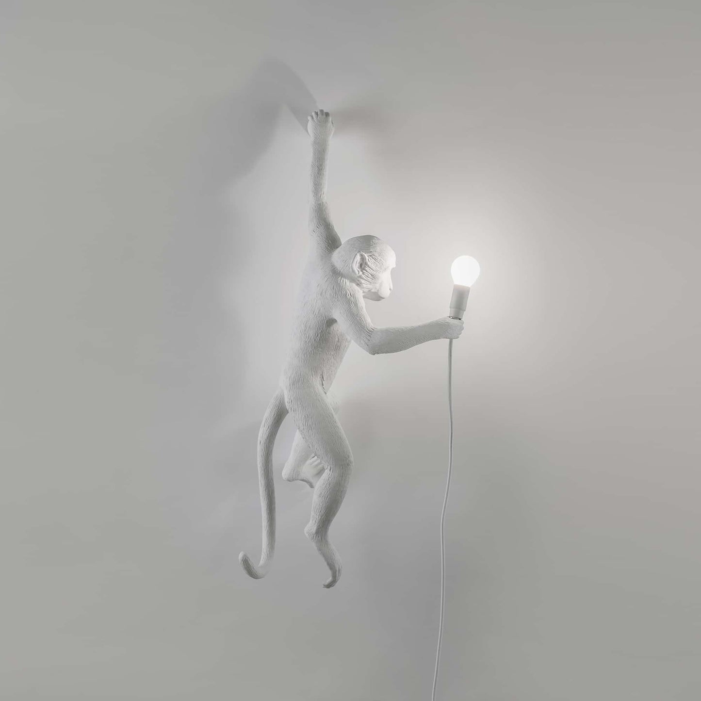 The Monkey Lamp Hanging da Esterno Versione Sinistra