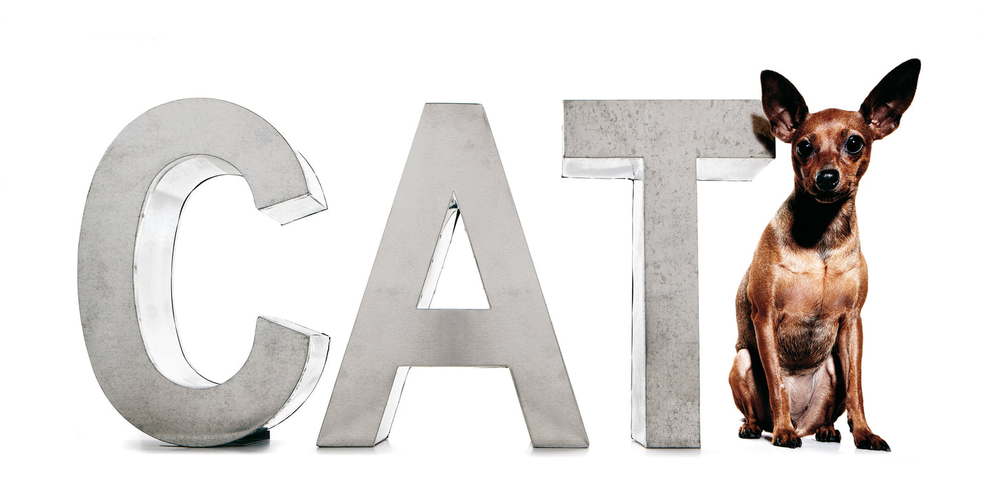 "METALVETICA" 100 - Q