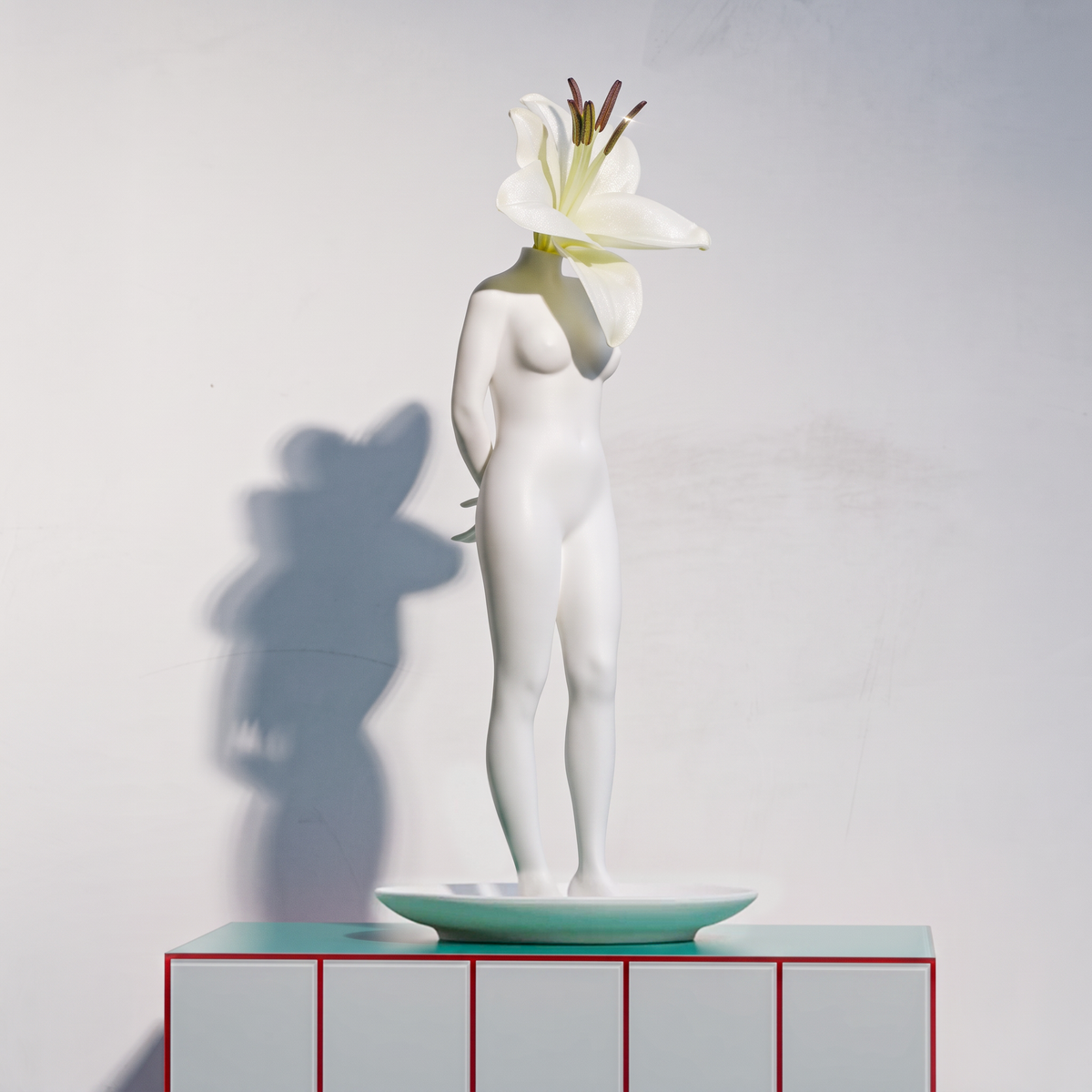 Vaso La Timida