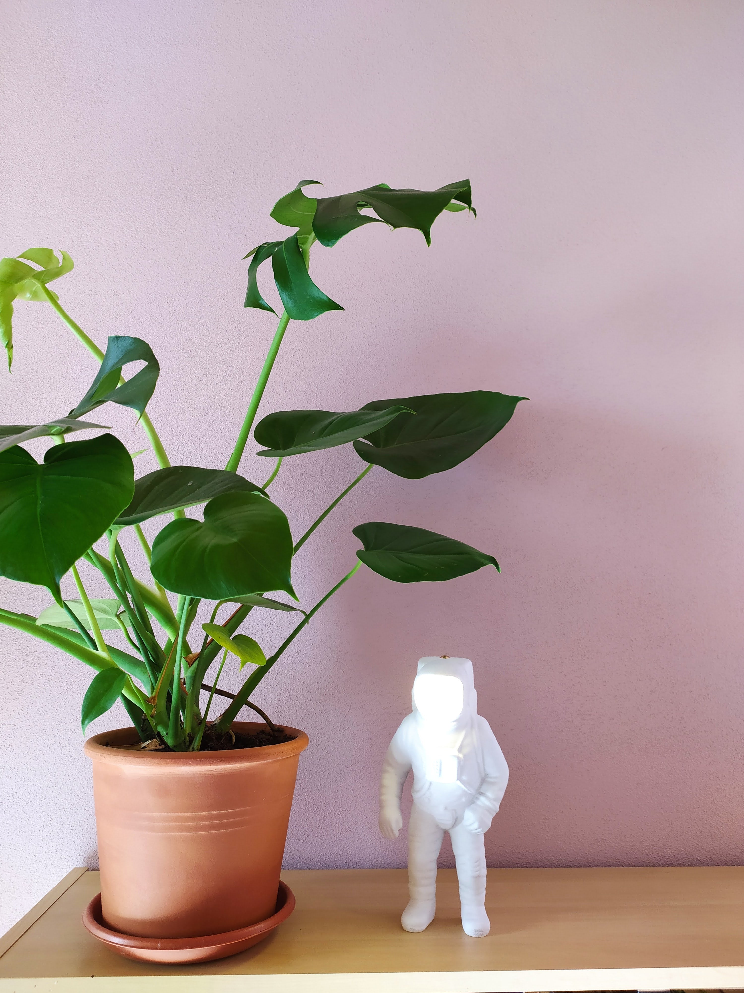 Flashing Starman – SELETTI