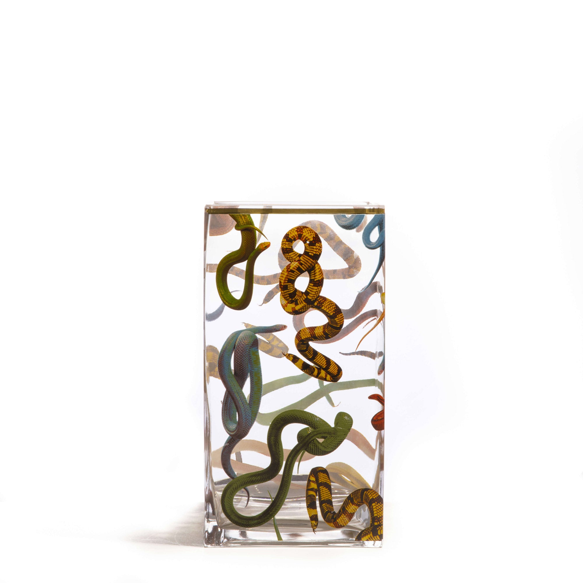 Glass vase big Snakes – SELETTI