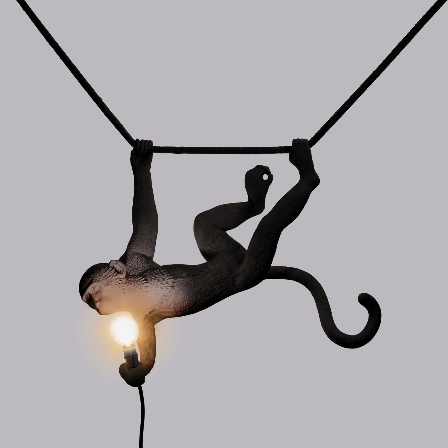 The Monkey Lamp Black Swing