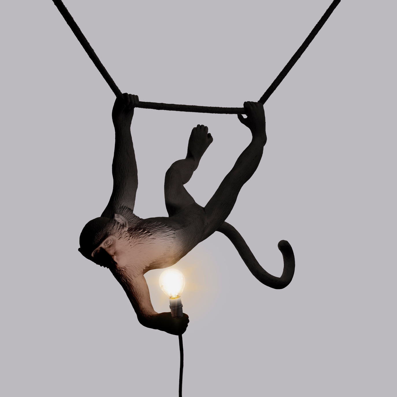 The Monkey Lamp Black Swing