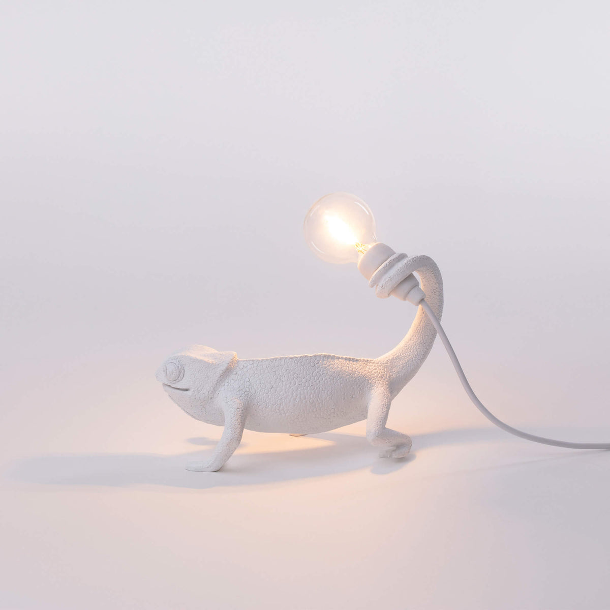 Chameleon Lamp Still USB – SELETTI