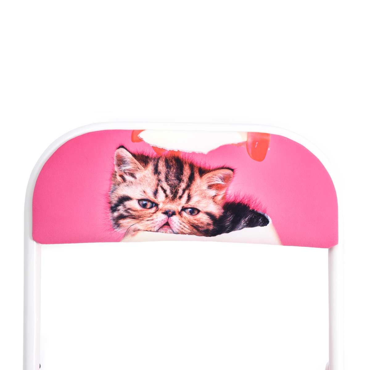 TOILETPAPER PETS FOLDING CHAIR - CAT SURPRISE