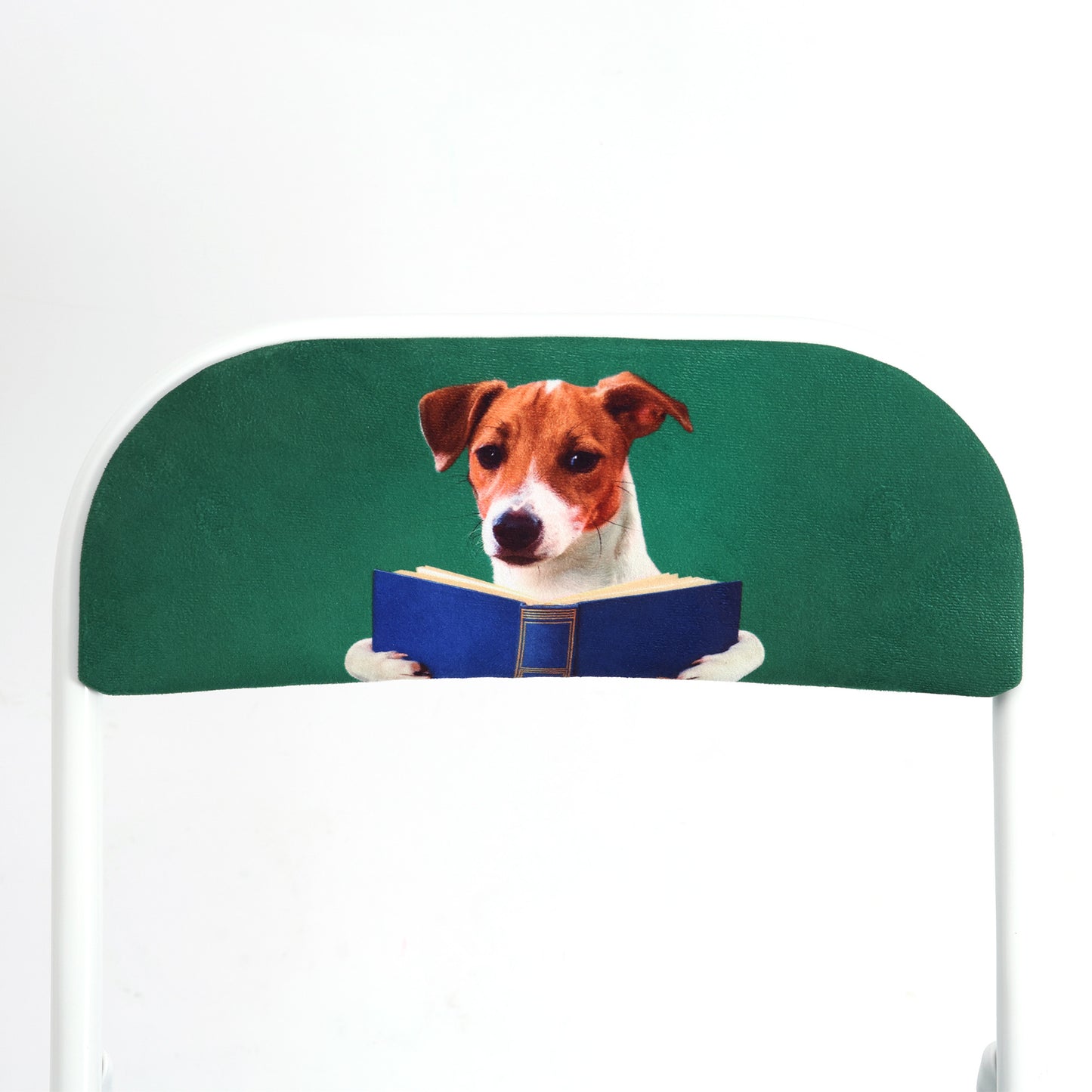 TOILETPAPER PETS FOLDING CHAIR - NERDY DOG