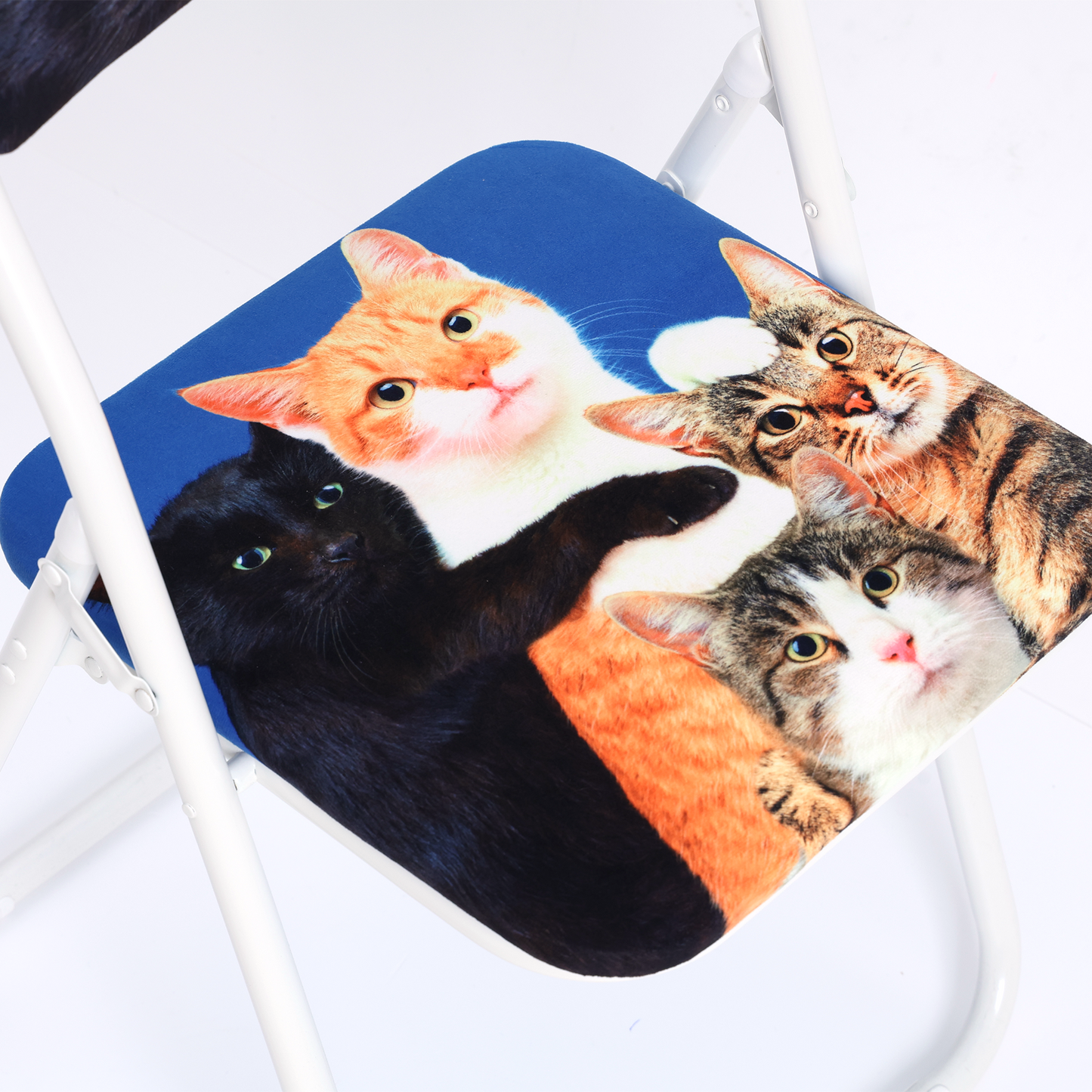 TOILETPAPER PETS FOLDING CHAIR - POLYCATS