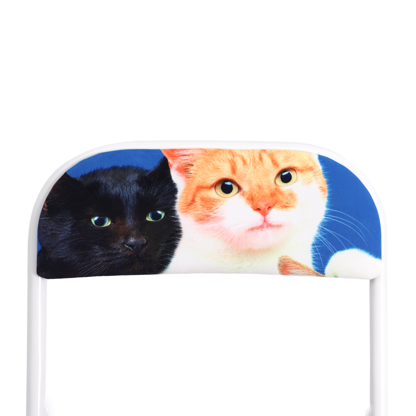 TOILETPAPER PETS FOLDING CHAIR - POLYCATS