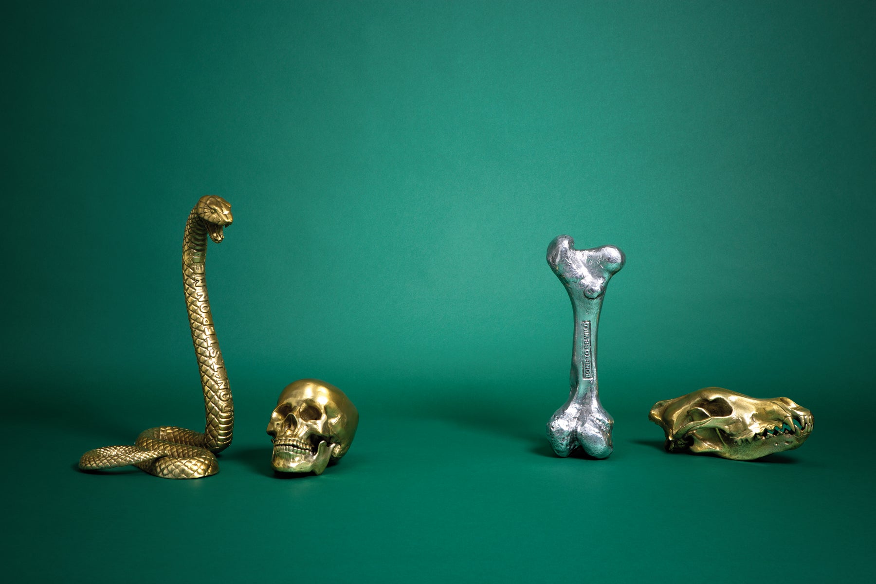Wunderkrammer Wolf Skull – SELETTI