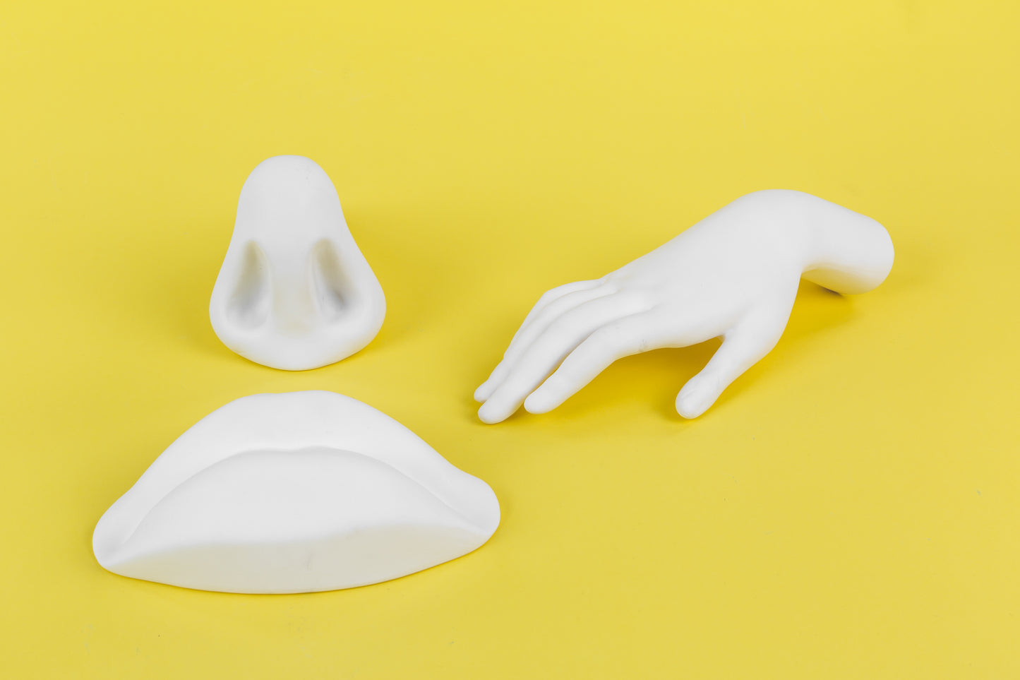 Memorabilia Mvsevm Female Hand