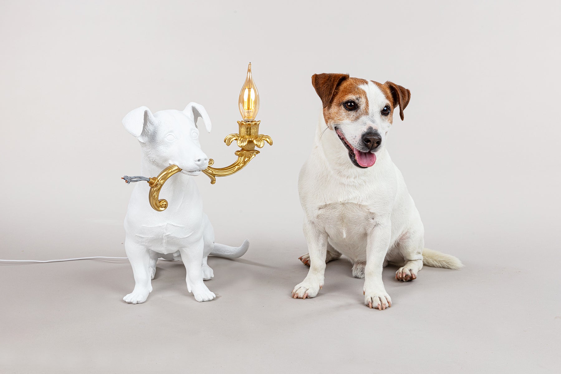Rio Lamp – SELETTI