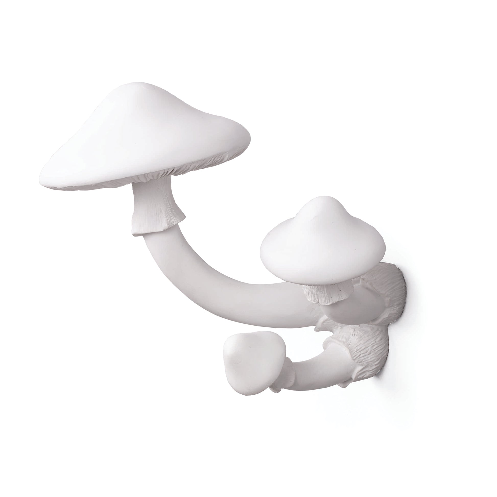 Hangers Mushroom - Main Image