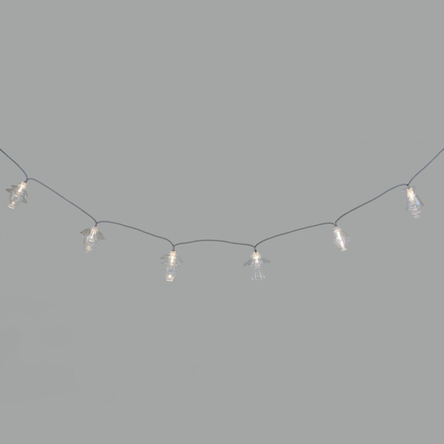 Floralia Transparent