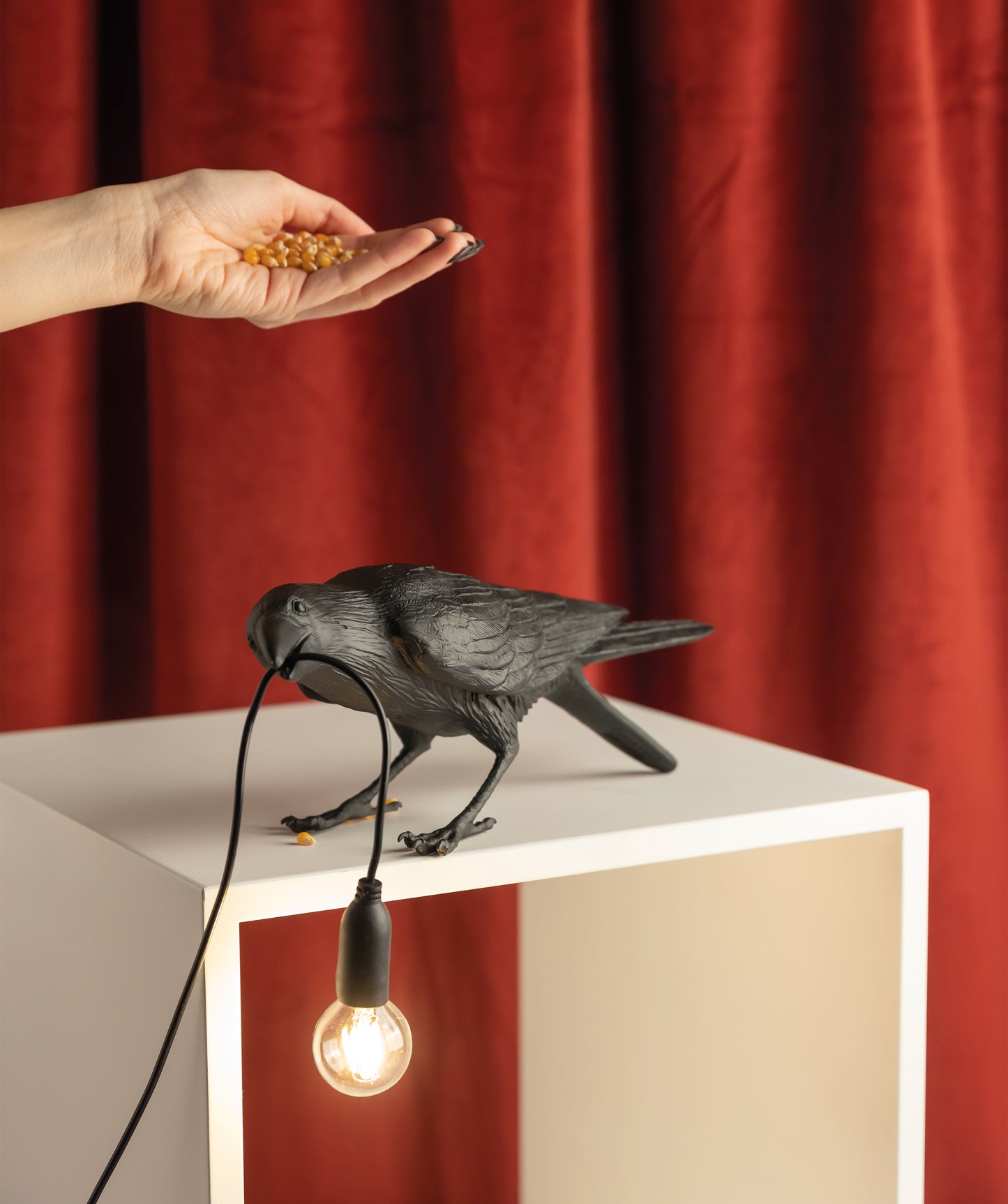 Bird Lamp Nero Playing