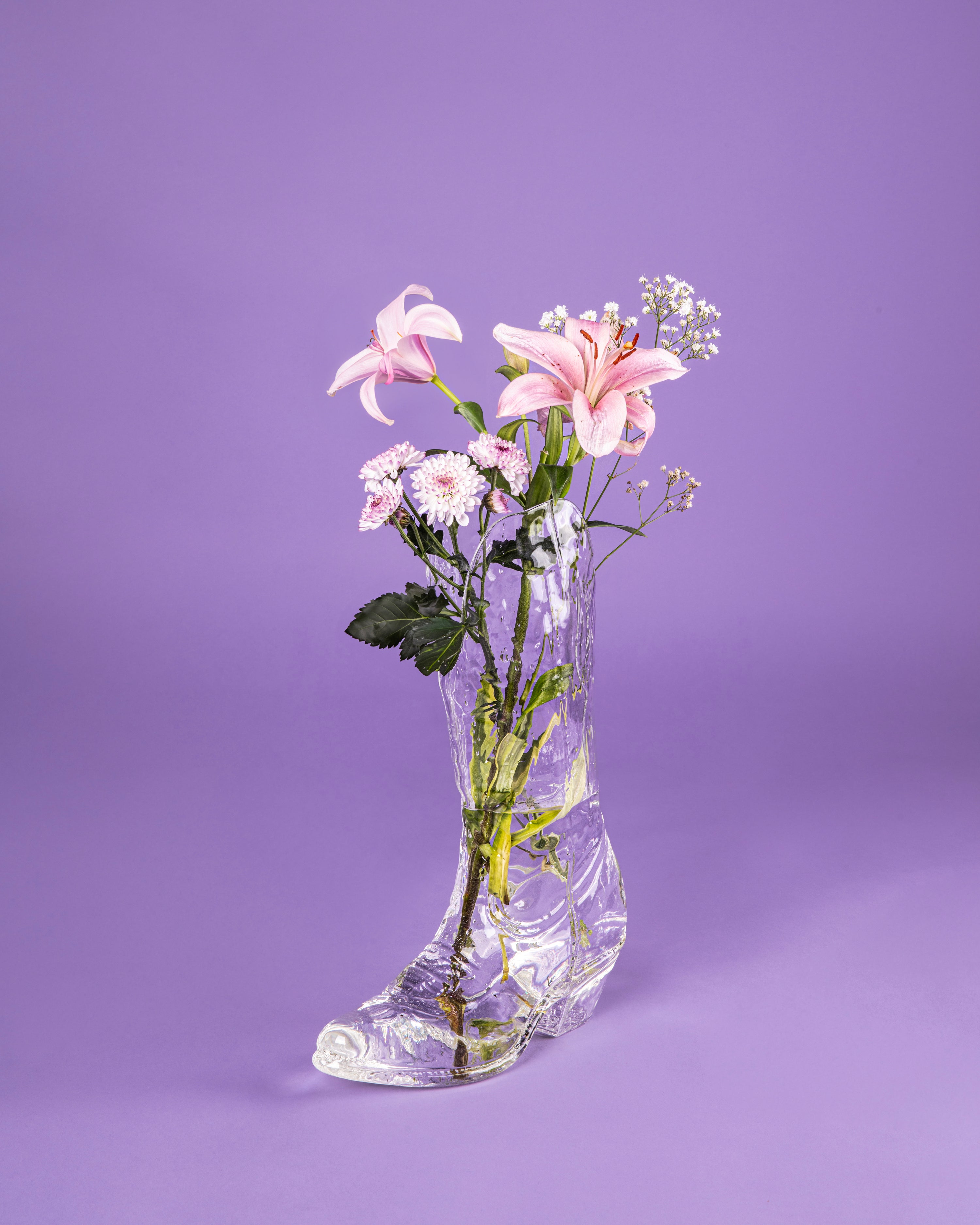 CRYSTALBOOTIE – SELETTI