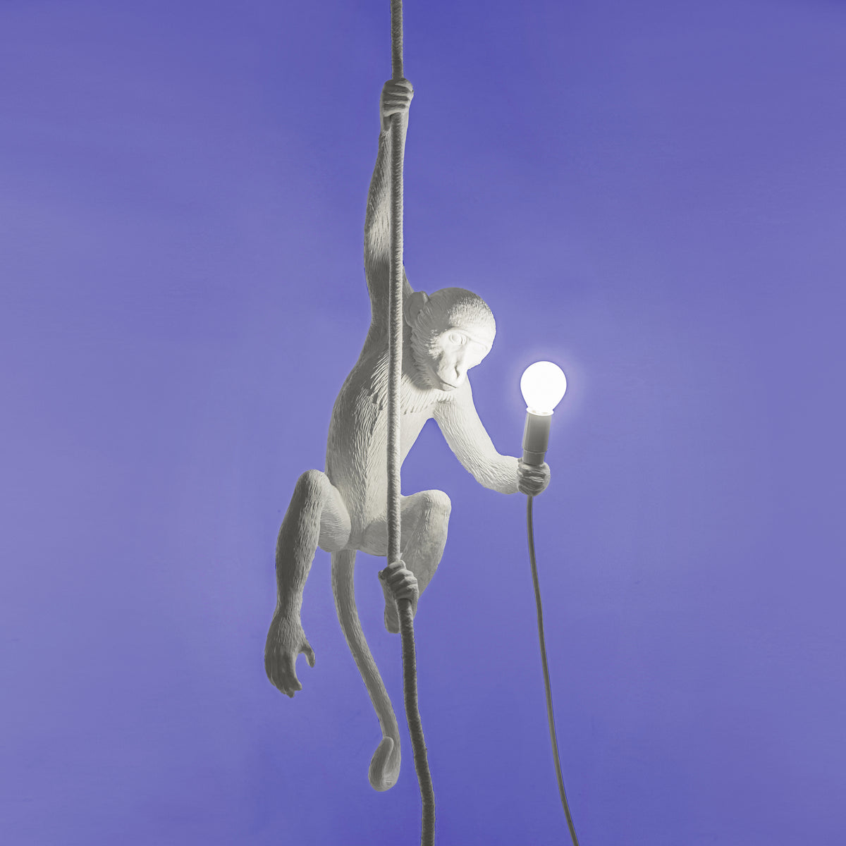 The Monkey Lamp Ceiling Version – SELETTI