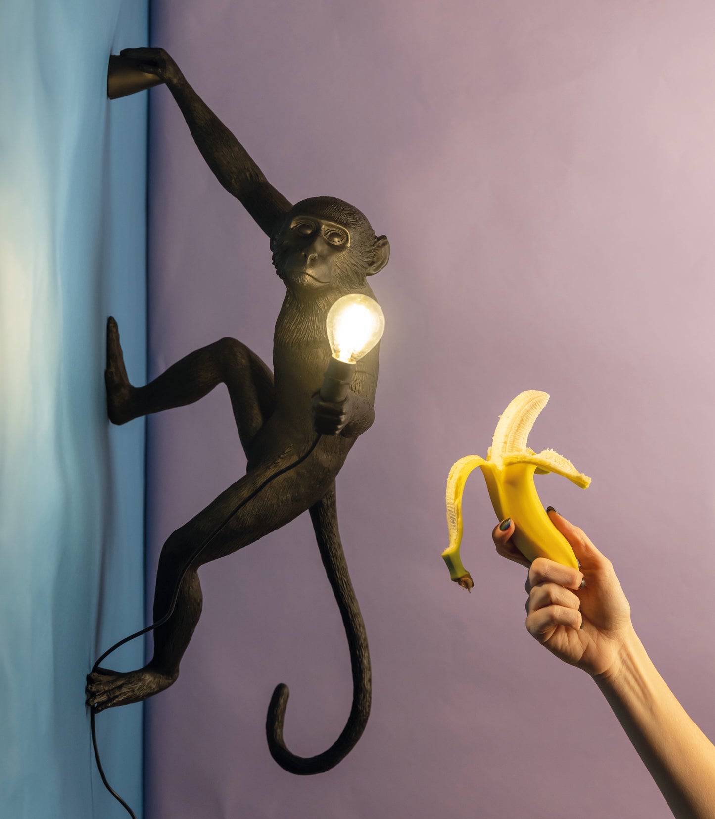 Monkey Lamp a muro versione destra 02