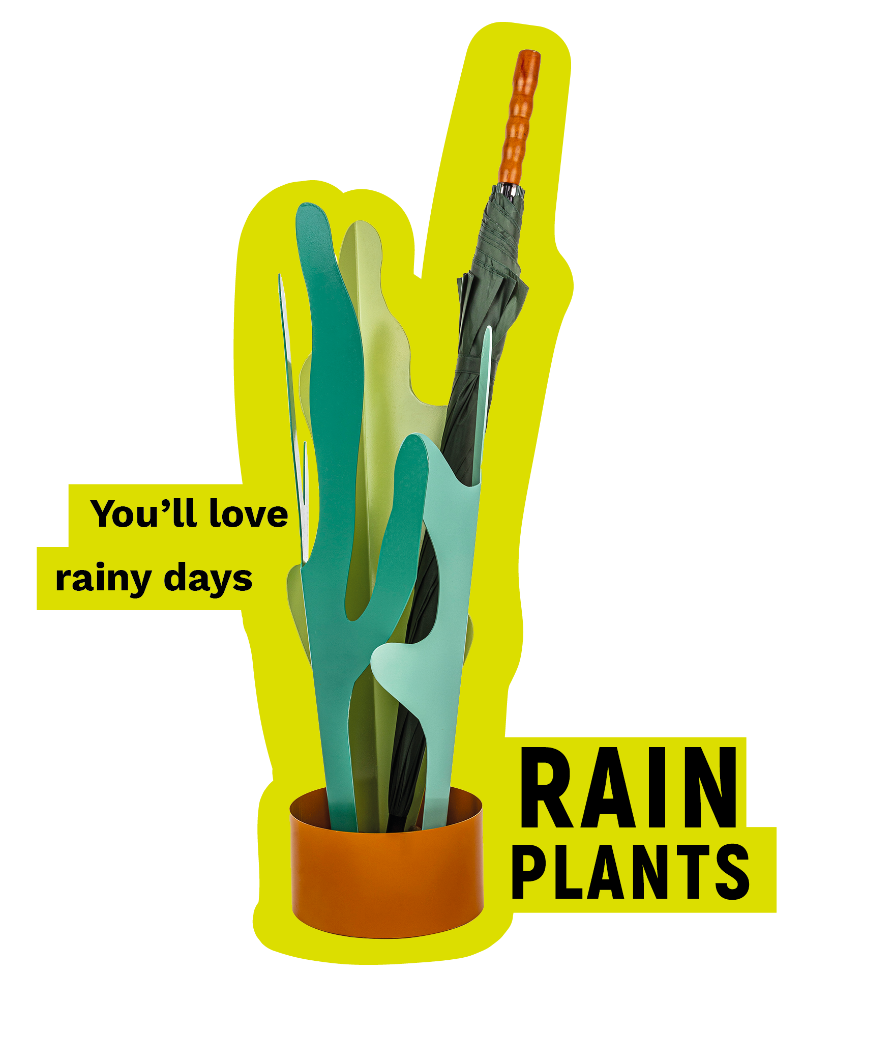 Img_rainplants_webstite_1