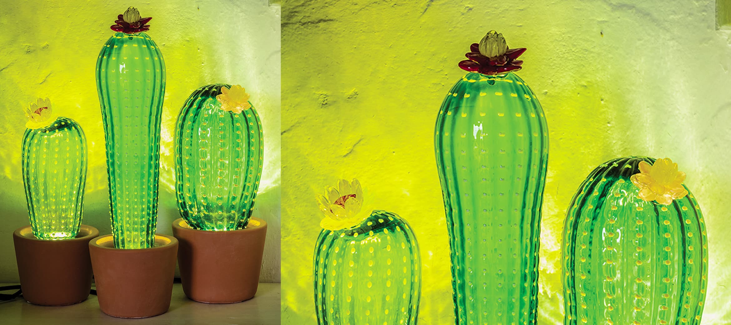 cactus_productpage