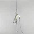 Seletti-Lighting-Monkey Lamp-Ceiling Lamp-Indoor-14883-3