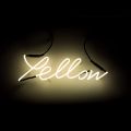 Seletti-Lighting-Shades-Neon Lamp-Indoor-01419_CO1-1
