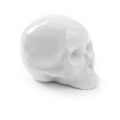 Seletti-Objects-Memorabilia-Skull-10449-5