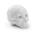 Seletti-Objects-Memorabilia-Skull-10449-6