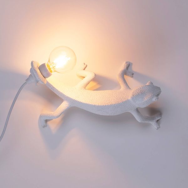 Chameleon Lamp Going Down USB