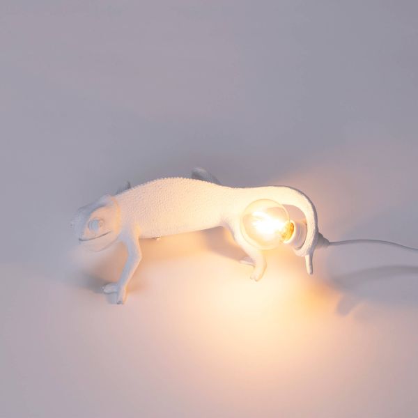 Chameleon Lamp Going Up USB